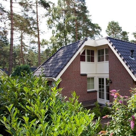 Villa 12 personen - villa Luxe