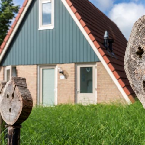 Bungalow 6 personen - Huisdiervrij Uitzicht