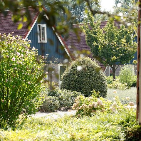 Vakantiepark Molendal - Camping Mook und Middelaar - Afbeelding N°4