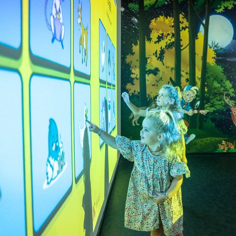 Landal Het Land van Bartje - Borger-Odoorn - Afbeelding N°5