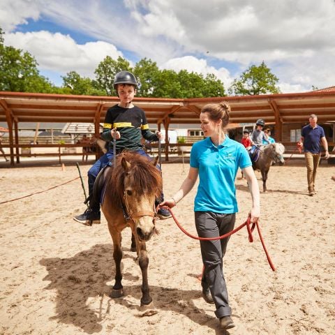 Landal Het Land van Bartje - Camping Borger-Odoorn - Afbeelding N°3