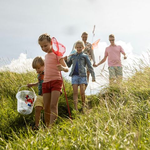 Landal Resort Haamstede - Camping Schouwen-Duiveland - Afbeelding N°2