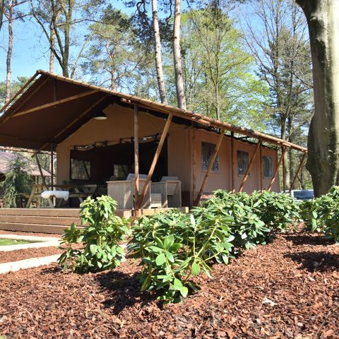 Tent 6 personen - Outdoorlodge