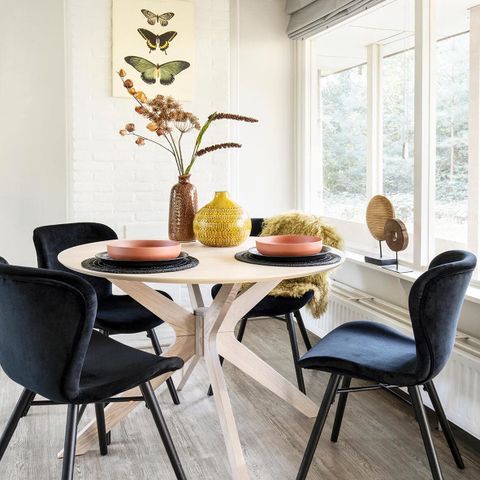 Bungalow 4 personen - Bos huisdiervriendelijk