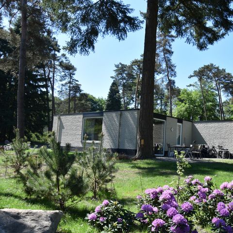 Bungalow 6 personen - Ommer huisdiervriendelijk