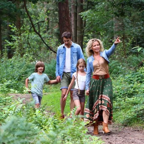 Camping Ommerland - Camping Ommen - Afbeelding N°6