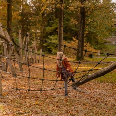 Vakantiepark Witterzomer - Assen - Afbeelding N°5