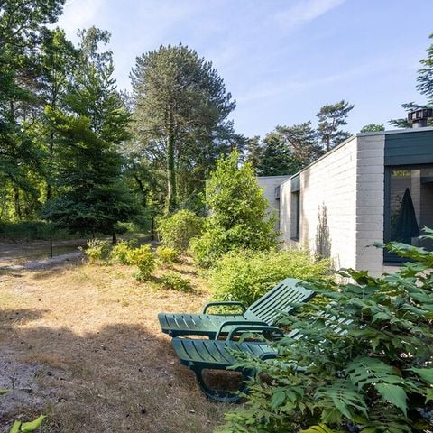 Bungalow 4 personen - Premium Honden BS1322