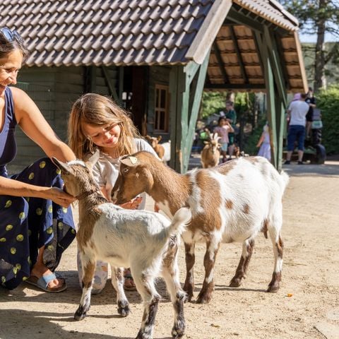 Center Parcs Bispinger Heide - Camping Nedersaksen - Afbeelding N°3