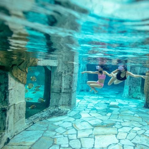 Center Parcs Het Heijderbos - Gennep - Afbeelding N°4