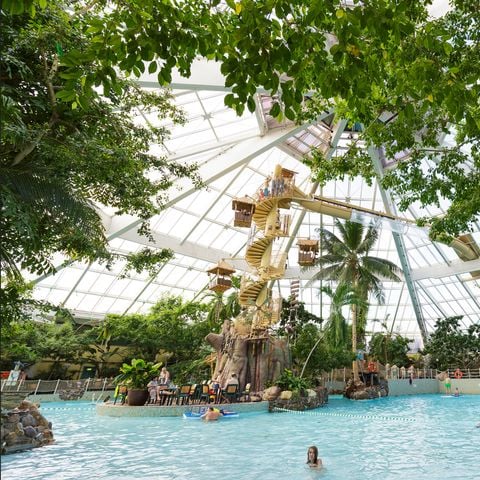 Center Parcs De Vossemeren - Camping Belgisch Limburg - Afbeelding N°4