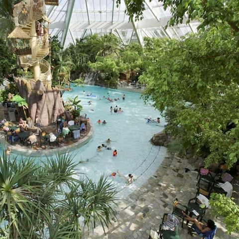 Center Parcs De Vossemeren - Belgisch Limburg - Afbeelding N°6