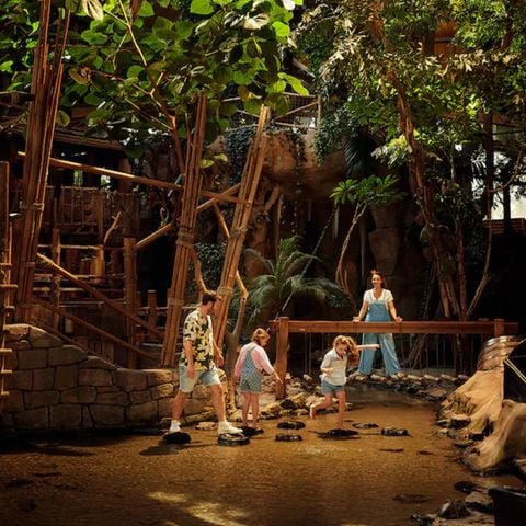 Center Parcs De Vossemeren - Belgisch Limburg - Afbeelding N°3