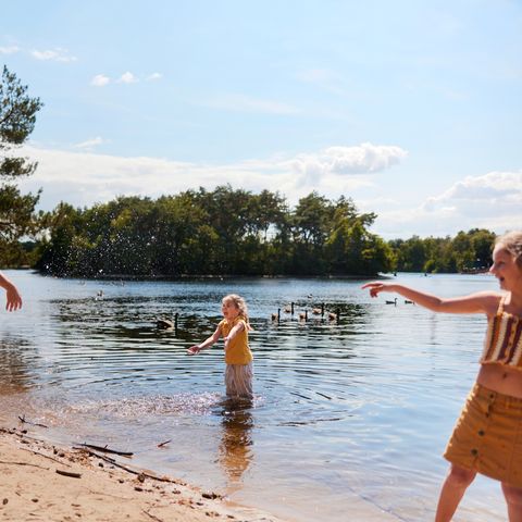 Center Parcs De Vossemeren - Camping Belgisch Limburg - Afbeelding N°5