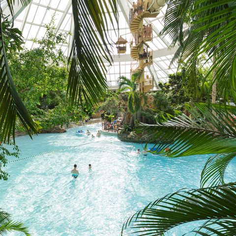 Center Parcs De Vossemeren - Camping Belgisch Limburg - Afbeelding N°3