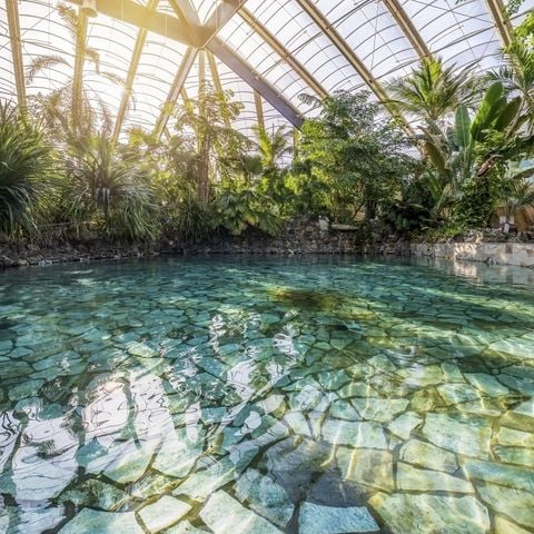 Center Parcs Park Erperheide - Belgisch Limburg - Afbeelding N°4