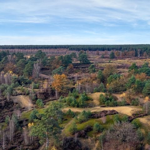 Center Parcs Park Erperheide - Belgisch Limburg - Afbeelding N°6
