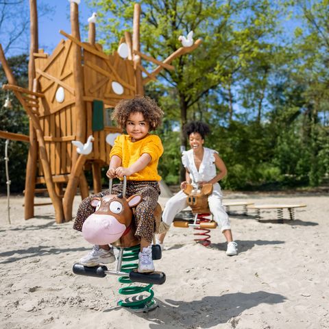 Center Parcs Park Erperheide - Camping Belgisch Limburg - Afbeelding N°3