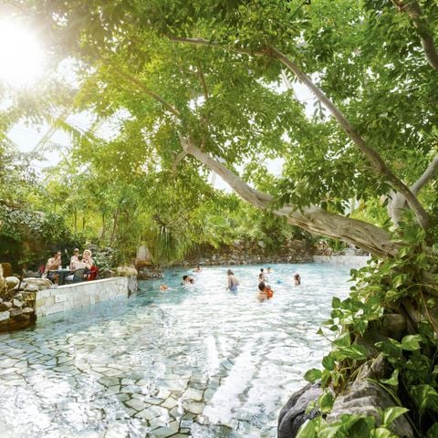 Center Parcs Park Erperheide - Camping Belgisch Limburg - Afbeelding N°6