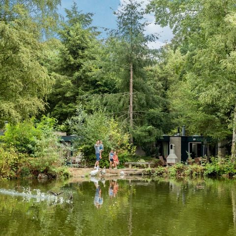 Center Parcs Park Erperheide - Camping Belgisch Limburg - Afbeelding N°3