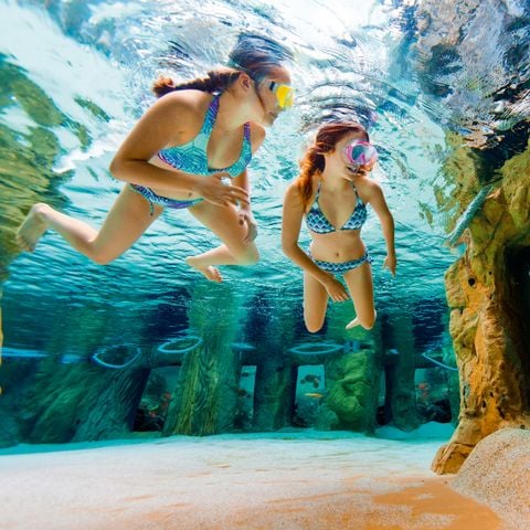 Center Parcs Park Erperheide - Camping Belgisch Limburg - Afbeelding N°5