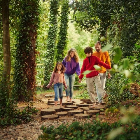 Center Parcs Park Erperheide - Belgisch Limburg - Afbeelding N°5