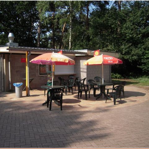 Buitencentrum Hessenheem - Camping Hof van Twente - Afbeelding N°6