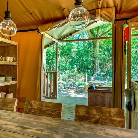 Tent 5 personen - Lodge Dalfsen