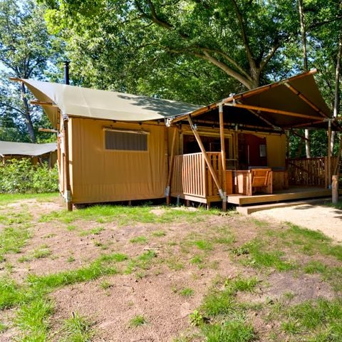 Tent 6 personen - Dalfsen Lodge