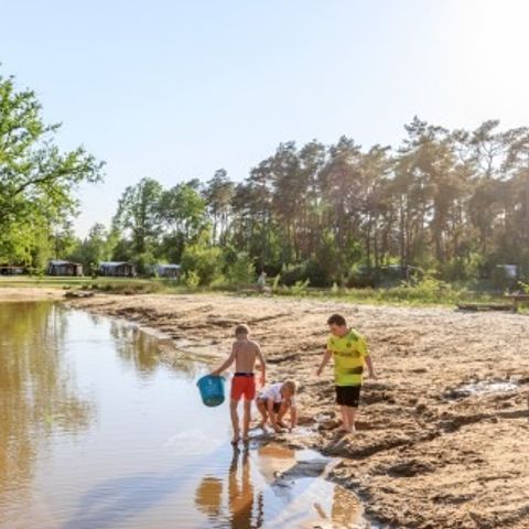 Vakantiepark Diana Heide - Camping Aa und Hunze - Afbeelding N°5