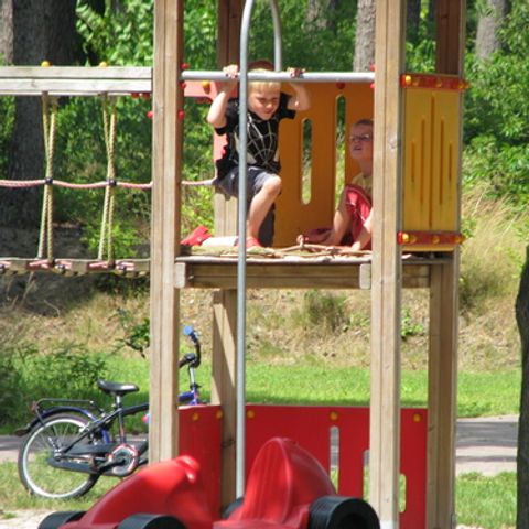 Vakantiepark Diana Heide - Camping Aa und Hunze - Afbeelding N°6