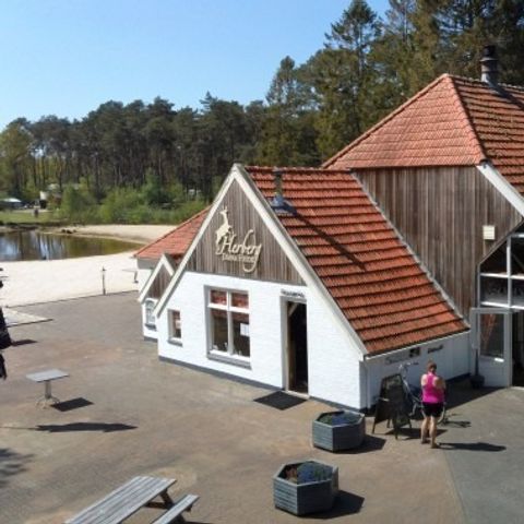 Vakantiepark Diana Heide - Camping Aa und Hunze - Afbeelding N°2