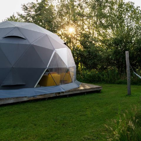 Camping Vreehorst - Camping Winterswijk - Afbeelding N°2