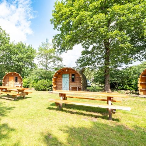 Bungalow 4 personen - 2+2 (until 12 yrs.) Boomstam