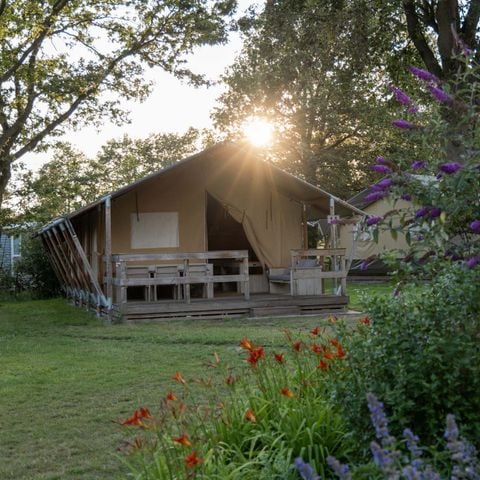 Tent 6 personen - Lodge