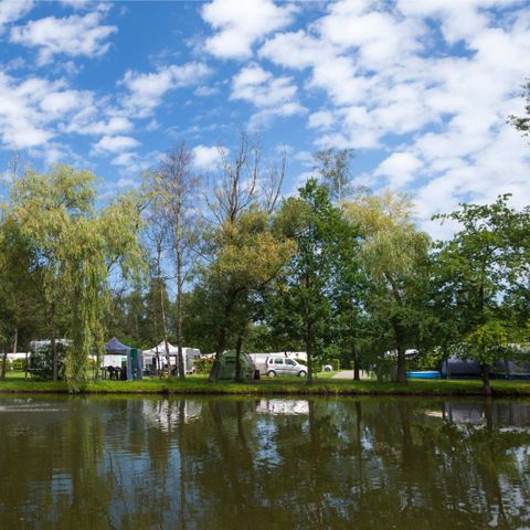 Oostappen park Parelstrand - Camping Belgisch Limburg - Afbeelding N°4