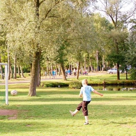 Oostappen park Parelstrand - Camping Belgisch Limburg - Afbeelding N°3