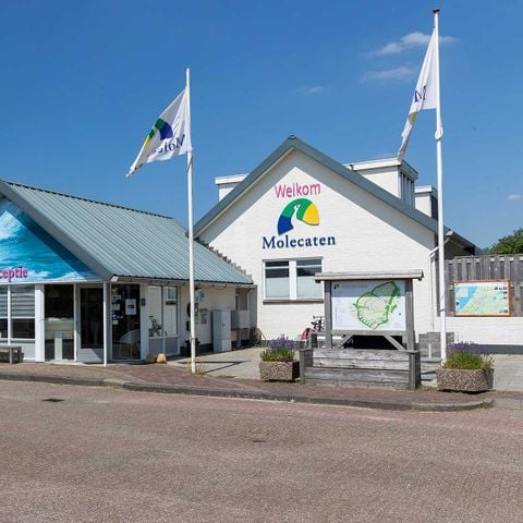 Molecaten Park Noordduinen - Camping Katwijk am Meer - Afbeelding N°2