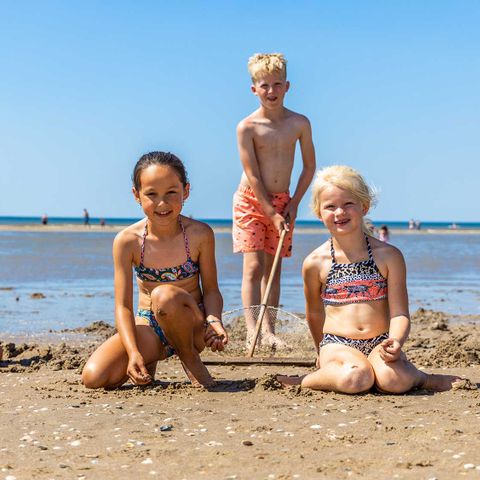 Molecaten Park Noordduinen - Camping Katwijk am Meer - Afbeelding N°6