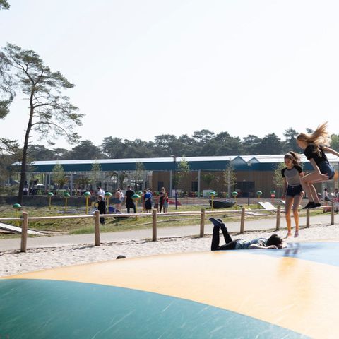 Oostappen park Blauwe Meer - Camping Belgisch Limburg - Afbeelding N°4