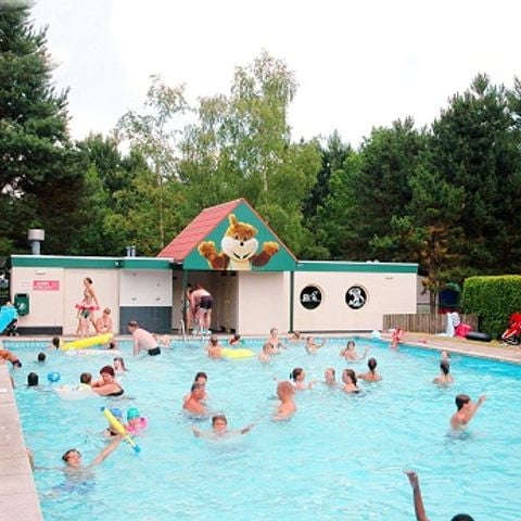 Oostappen park Brugse Heide - Camping Valkenswaard - Afbeelding N°3
