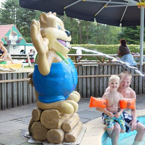 Oostappen park Brugse Heide - Camping Valkenswaard - Afbeelding N°2