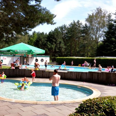 Oostappen park Brugse Heide - Camping Valkenswaard - Afbeelding N°4