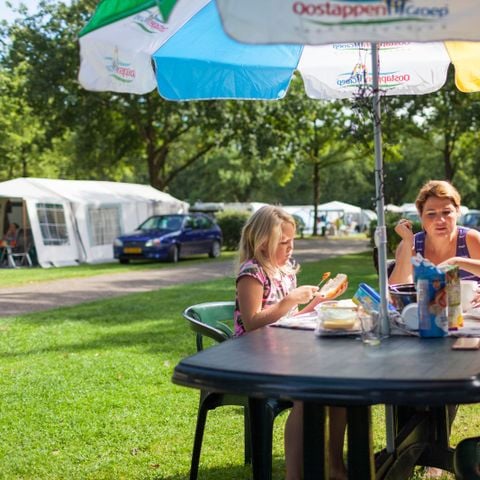 Oostappen park Brugse Heide - Camping Valkenswaard - Afbeelding N°6