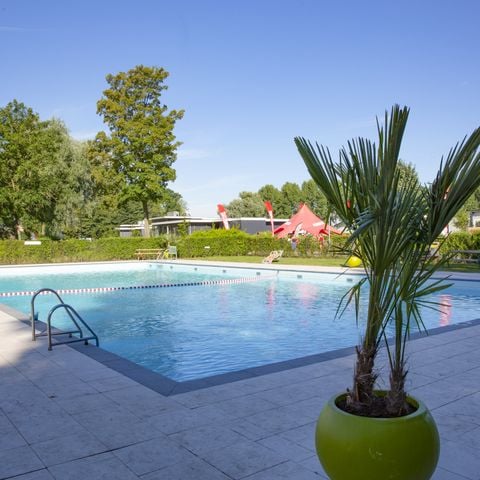 EuroParcs De Biesbosch - Camping Dordrecht - Afbeelding N°2