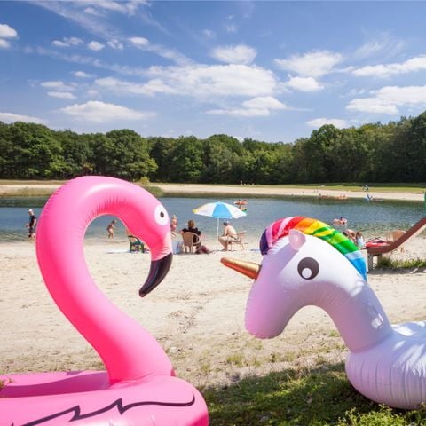 Oostappen park Hengelhoef - Camping Belgisch Limburg - Afbeelding N°2