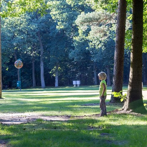Oostappen park Arnhem - Camping Arnhem - Afbeelding N°6