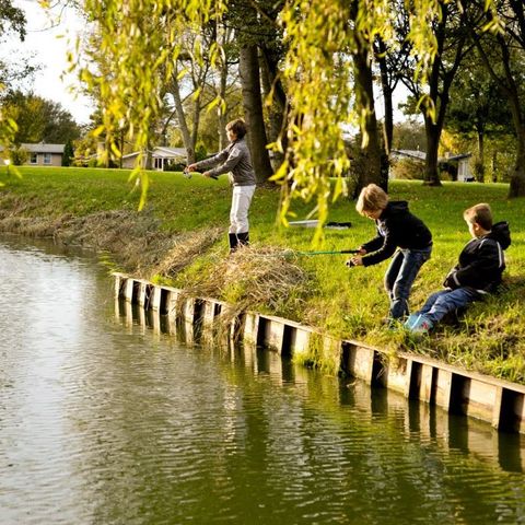 Vakantiepark Het Grootslag - Camping Hollands Kroon - Afbeelding N°3