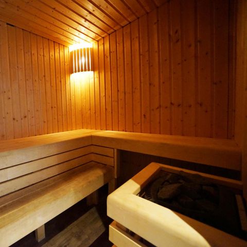 VAKANTIEHUIS 10 personen - Pavilion l'etage Sauna