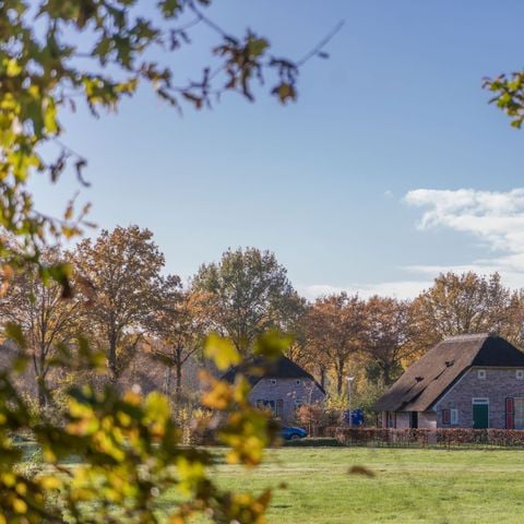 Bungalow 6 personen - Luxe Vakantieboerderij